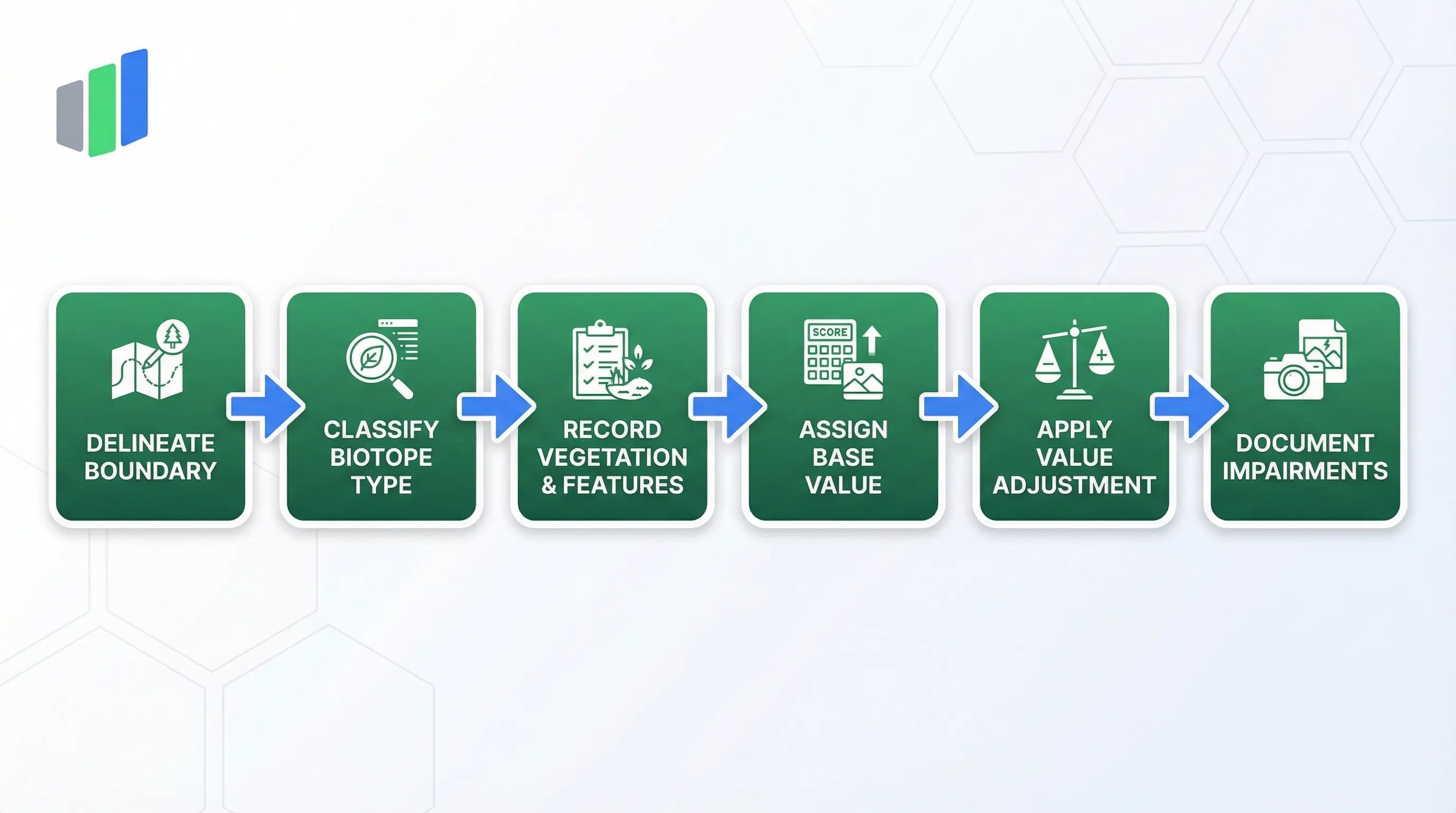 BfN Biotope Survey process: Delineate Boundary, Classify Biotope Type, Record Vegetation and Features, Assign Base Value, Apply Value Adjustment, Document Impairments