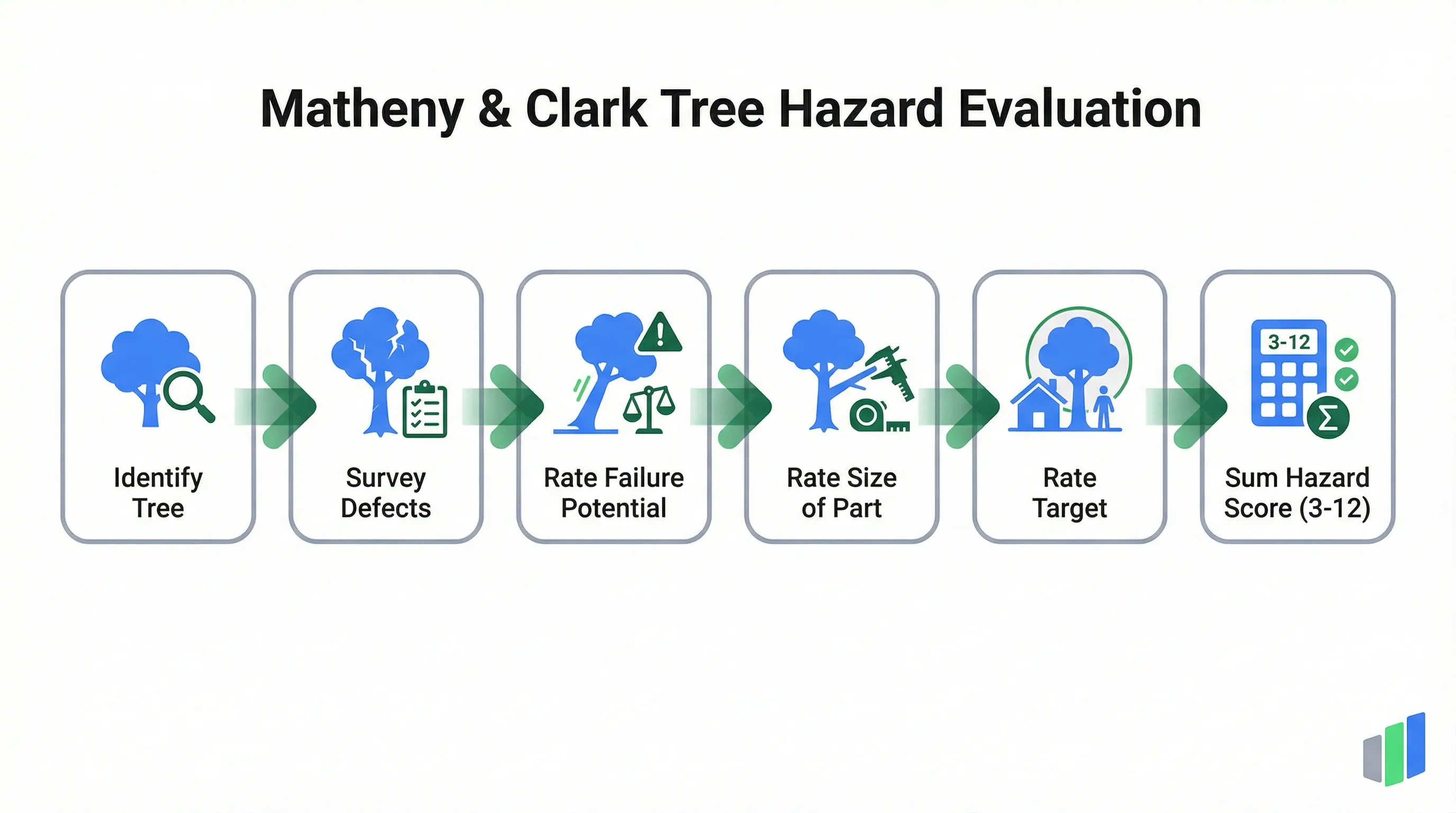 Matheny & Clark tree hazard evaluation process: Identify Tree, Survey Defects, Rate Failure Potential, Rate Size of Part, Rate Target, Sum Hazard Score (3–12)