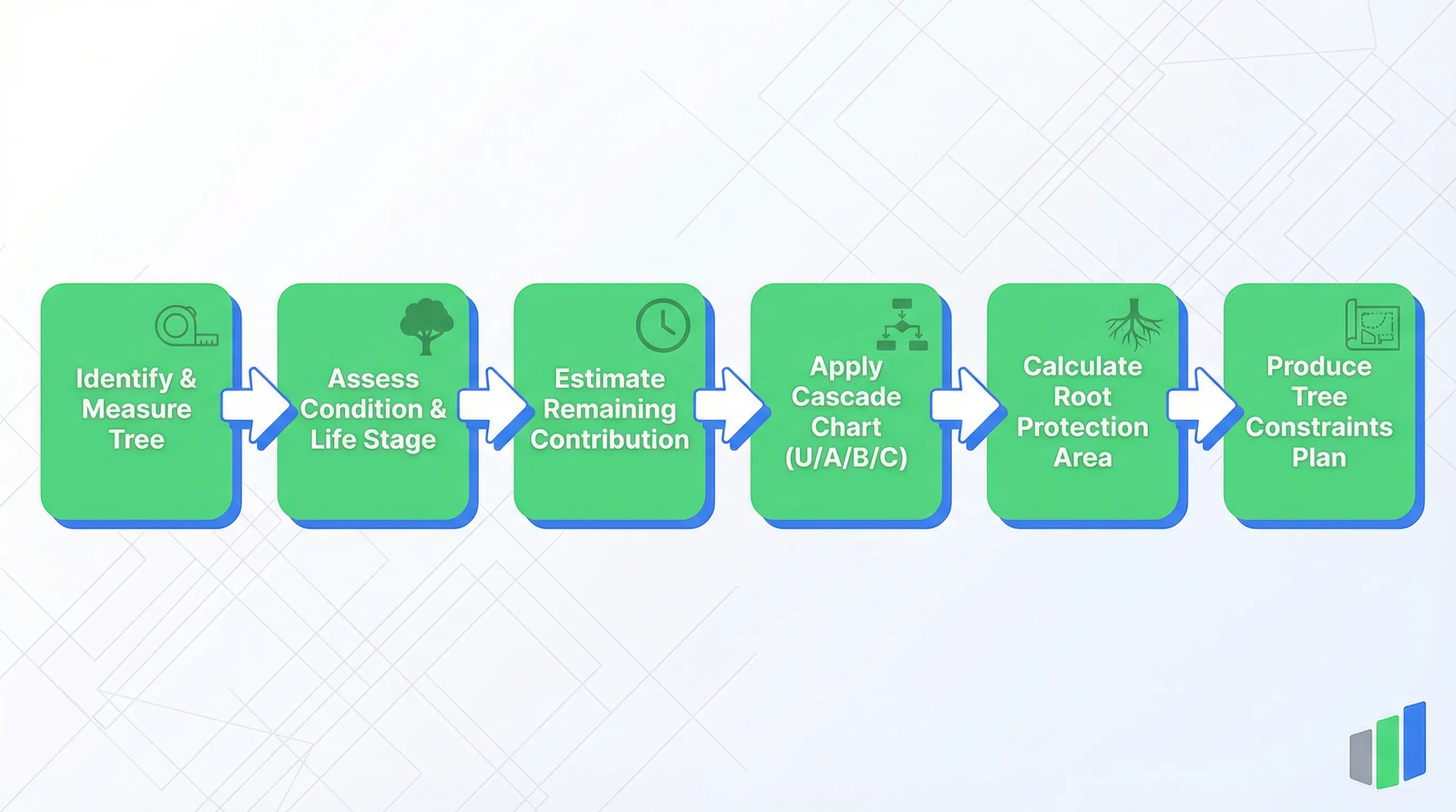 BS 5837 tree survey process: Identify & Measure Tree, Assess Condition & Life Stage, Estimate Remaining Contribution, Apply Cascade Chart (U/A/B/C), Calculate Root Protection Area, Produce Tree Constraints Plan