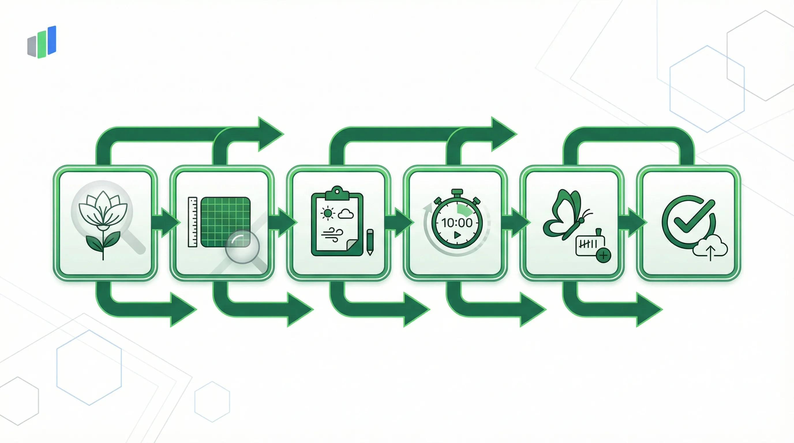 FIT Count pollinator monitoring process: Select Target Flower, Define 50×50 cm Patch, Record Site Conditions, Start 10-Minute Timer, Tally Insect Visitors, Submit Data