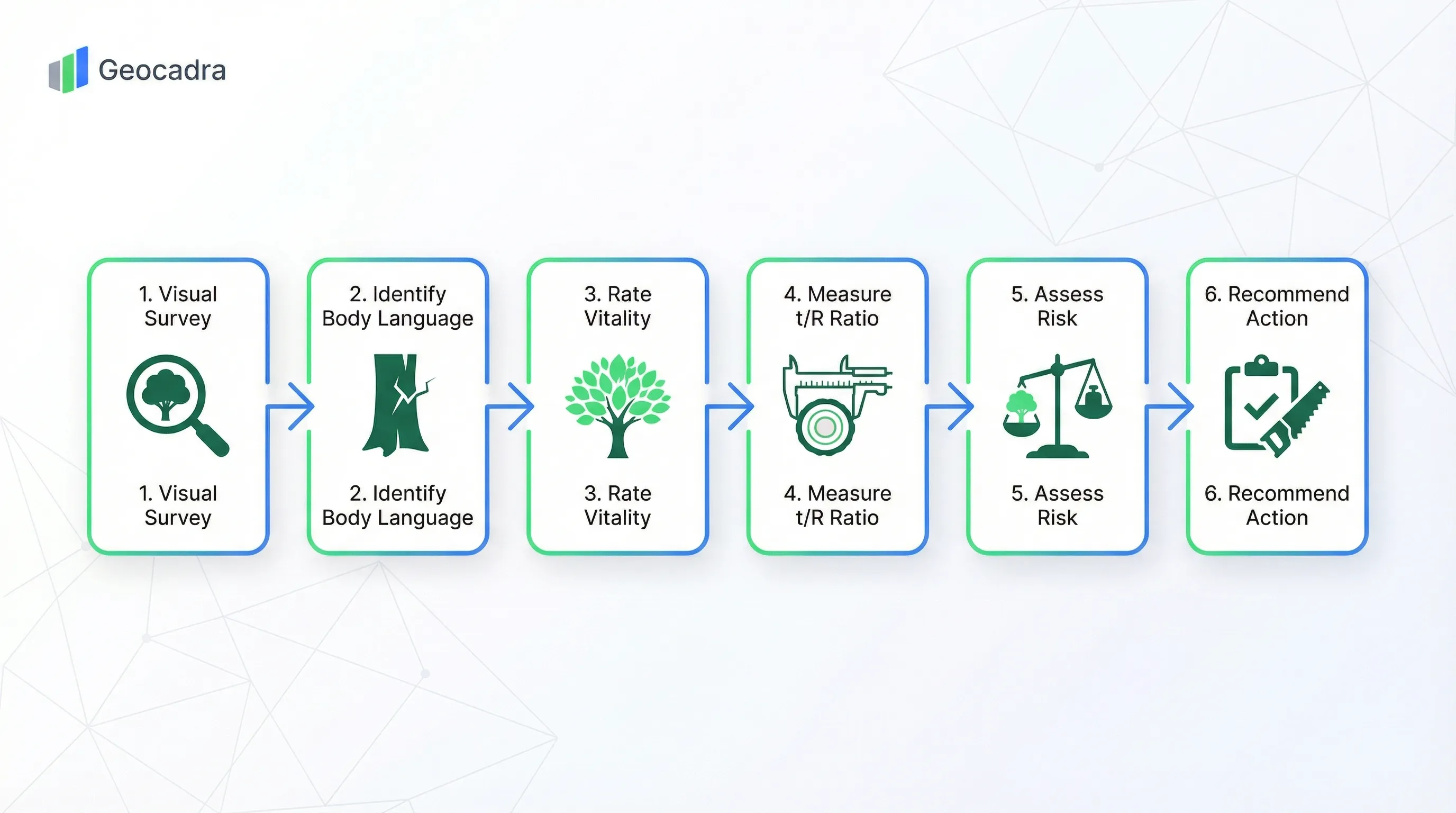 VTA inspection process: Visual Survey, Identify Body Language, Rate Vitality, Measure t/R Ratio, Assess Risk, Recommend Action